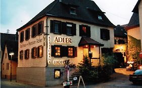 Hotel Adler Bad Rappenau
